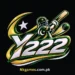 Y222 Game