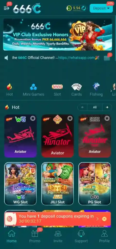 C666 Game