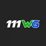 111WG Game